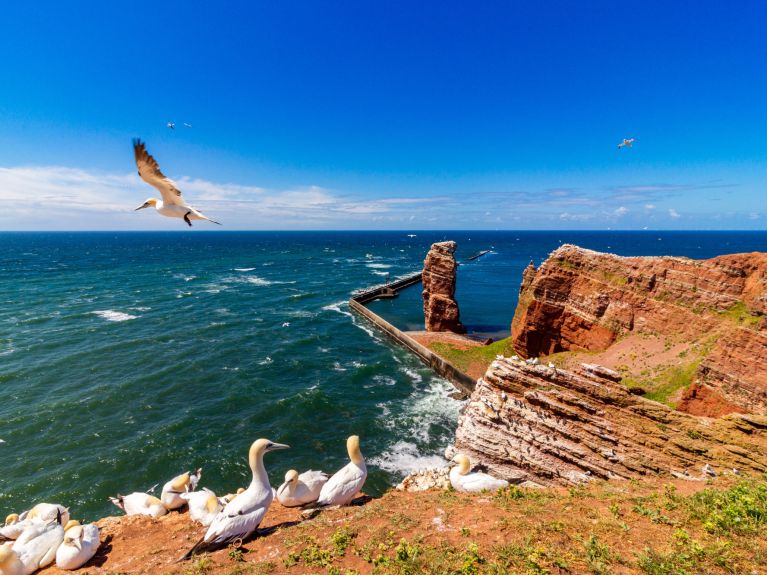 Helgoland Helgoland